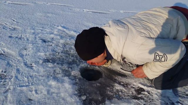 Зимняя рыбалка на Днестре смотреть онлайн