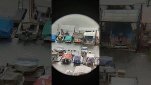 Сравнение двух биноклей// БП-7х50 ЗОМЗ и БПВ-1 7х50 ЗОМЗ //в пасмурную дождливую погод #бинокль