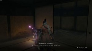 Sekiro: Shadows Die Twice(1)