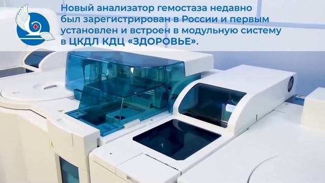Централизованная клинико-диагностическая лаборатория г.Ростова-на-Дону смотреть онлайн