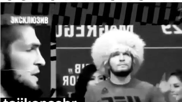 Хабиб это золотые слова брат смотреть онлайн