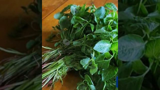 DAWA ASILI YA UGONJWA WA FIGO BILA OPERATION смотреть онлайн