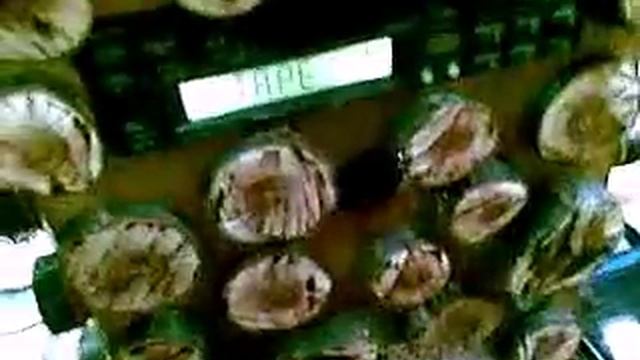 Дачно-Дворовый музыкальный центр (часть 2) смотреть онлайн