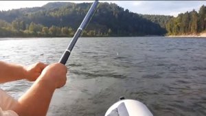 ловля хариуса на реке Бия