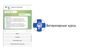 Справочник ветеринара, телеграм бот
