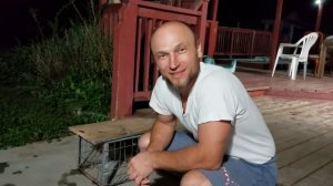 Петух без головы