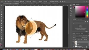 How to Create a FRUIT ANIMAL in Photoshop