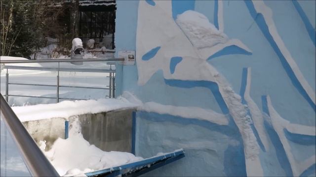 У Кая сегодня выходной день 22.02.2023 смотреть онлайн