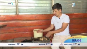 переработка органических отходов и производство биоудобрения