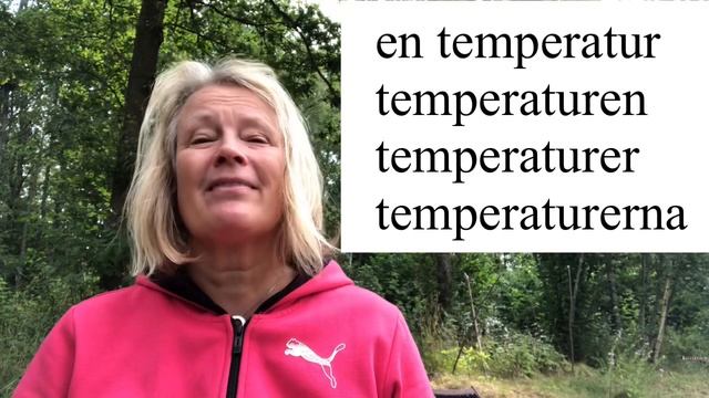 Lär dig svenska - Dag 92 - Fem ord om dagen - A2 CEFR - 71 undertexter - Learn Swedish смотреть онлайн