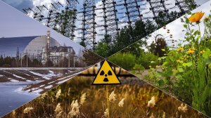 ПРИПЯТЬ. ВРЕМЕНА ГОДА | Съёмка с дрона 4К