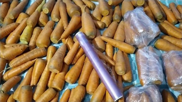 Садится на морковку. Как хранить морковь на зиму.