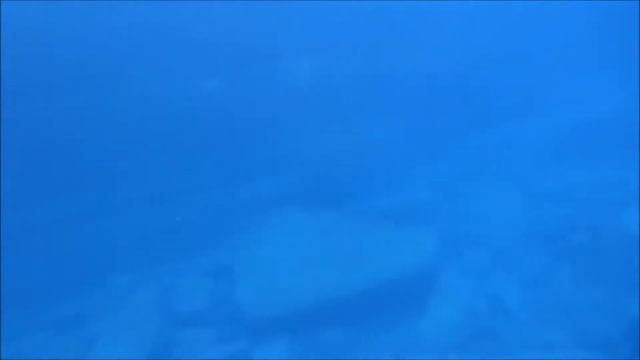 与那国島　海底遺跡ダイビング смотреть онлайн