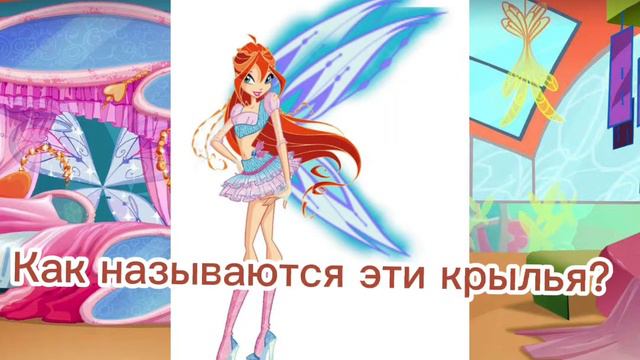 Тест на знание 4 сезона Винкс смотреть онлайн