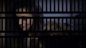 Tungi Bo'rilar | Tungi burilar 1- qism Uzbek tilida