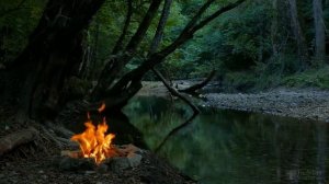 Когда нельзя делать обрезку деревьев?