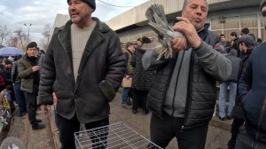 Ташкент Узбекистан рынок каракамыш