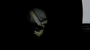 Заброшенный дом полный ЦЕННОГО АНТИКВАРИАТА! - Покинутый Мир