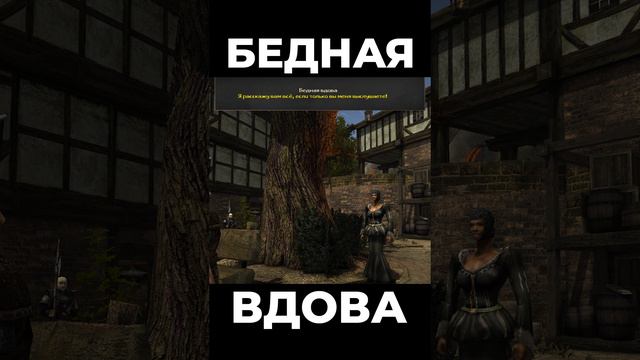 Хроники Миртаны: Архолос ➤ Бедная вдова #shorts #gothic2 #готика2 #архолос #archolos