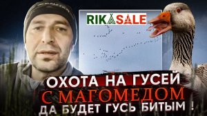Да будет гусь битым! Охота на гусей с Магомедом. Не волком единым.