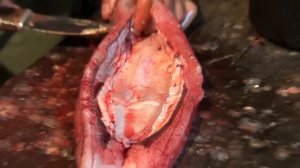 Разделка рыбы на балык и тешу. ХОЛОДНОЕ КОПЧЕНИЕ РЫБЫ Часть 1.1  ?