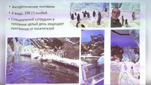 Современные тренды строительства публичных аквариумов Обзор океанариума SeaWorld Abu Dhabi  2023