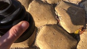 Пыльник внутреннего шруса Ford Focus 3