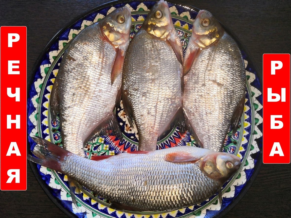 УХА… Как готовить уху из речной рыбы правильно.