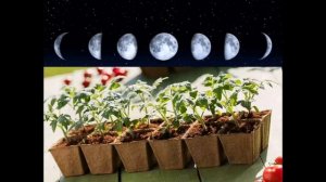 Лунный календарь. Зачем он нужен? Что такое Лунный календарь?