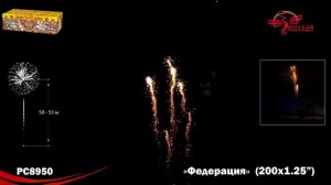 Фейерверк РС8950 "Федерация" (1,2" х 200 залпов)