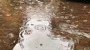 Как быстро вылечить простуду ?