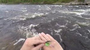 Рыбалка на Кольском .  Снова за семгой . Июль 2020 год .