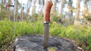 ОЧЕНЬ Легко И Просто Удалить ПЕНЬ Без Корчевки! Вся Процедура Займет Пару Минут Работы!