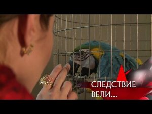 "Следствие вели...": "Золотая клетка"