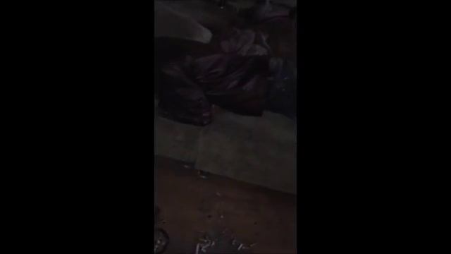 Носики курносики сопят смотреть онлайн