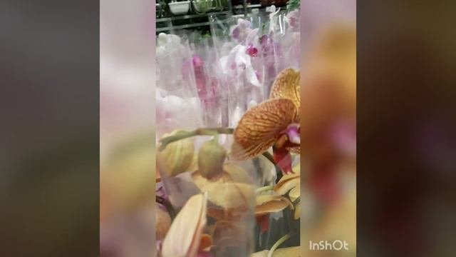 Новые магазины на Новоухтомском шоссе.
