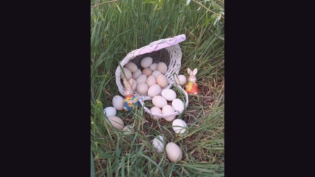 Лицей Губогло Пасха 2020 смотреть онлайн