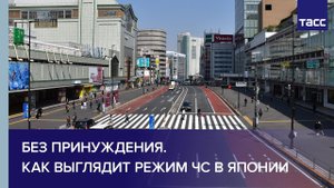 Без принуждения. Как выглядит режим ЧС в Японии