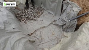 Как сделать дренажное поле после септика, для отвода очищенной воды при высоком УГВ?