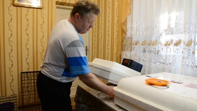 Дезинфекция яиц перед инкубацией. Автоматический инкубатор