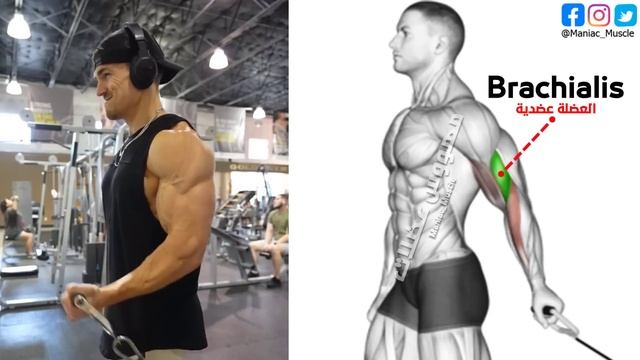 7 BEST Exercises for WIDER BICEPS