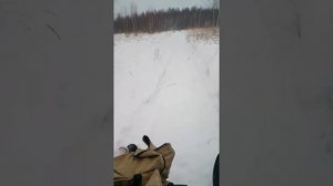 мотобуксировщик Вьюга модернизированный.