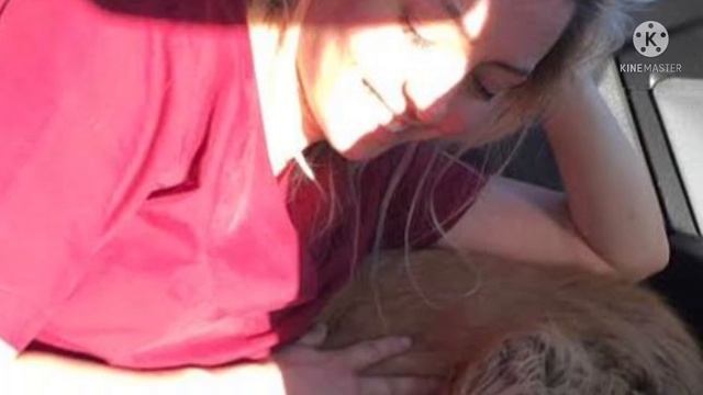 Пёс с засохшей булочкой во рту растопил сердца спасателей смотреть онлайн