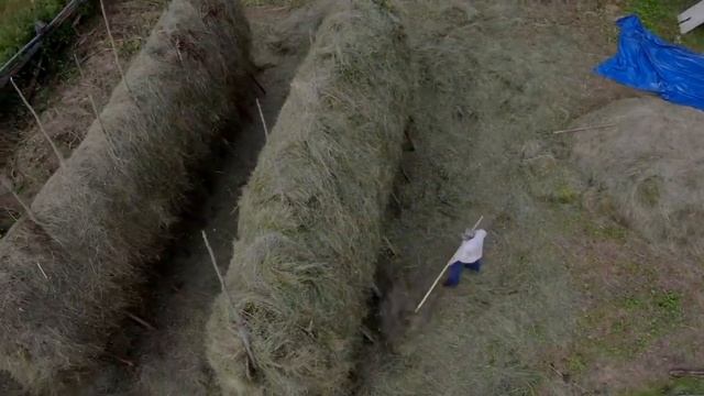 НЕВОЗМОЖНО НЕ ЛЮБИТЬ ЭТУ ПЕСНЮ смотреть онлайн