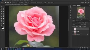 Adobe Photoshop  |  CC 2021  |  Lasso Tool  |  Polygonal Lasso  |  Tool Magnetic Lasso Tool