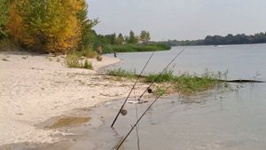 Выбрался на ДОН.ст. Багаевская 17. 08. 22
