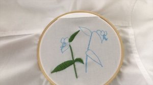 ツユクサの刺繍 / Hand embroidery : Asiatic dayflower【シャツを花だらけにしたい05】