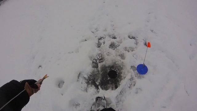 Рыбалка на жерлицы. Щучий жор! смотреть онлайн