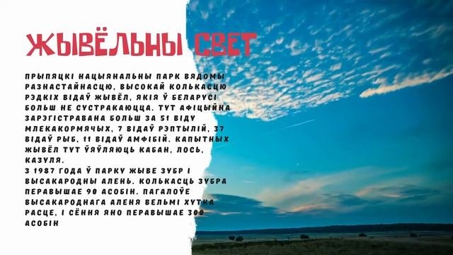 Виртуальная экскурсия 