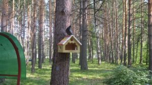 #Санаторий "Синий Утес".(Russia.Tomsk.Sanatorium Blue Rock)